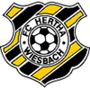 FC_Hertha_Wiesbach